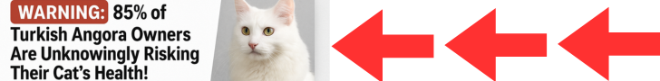 Banner Ad